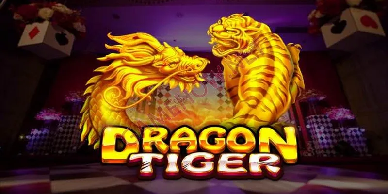 Hình minh họa — Rr88