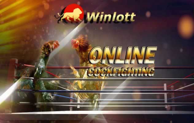 Hình minh họa — Rr88