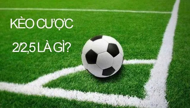 Hướng dẫn Oxbet - Bắt đầu từ thông tin bạn thực sự cần